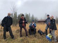 Auf Wiedersehen mit der Wiesmahd