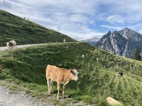 Landschaft und Landwirtschaft