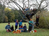 Sharing Biodiversity on a Micro-Farm