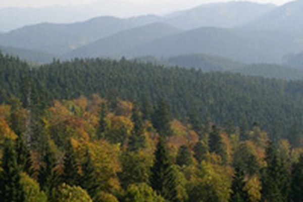 Carpathian Convention now in force