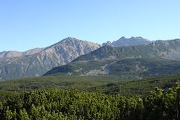 Protected areas in the EU lacking in quality