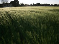 Alpine Convention's climate portal now online