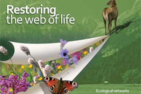 Restoring the web of life: a new brochure designed to help you understand ecological networks