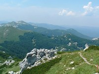 Dinaric Alps Conference: laying the foundations for the protection of the Dinaric Alps