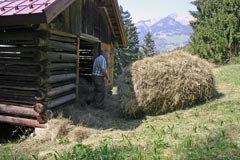 Common Agricultural Policy for the Alps