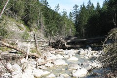 Green electricity for Liechtenstein