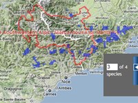 Innovative online tools to assess and visualise connectivity