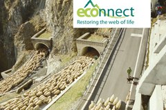 Documentation on ECONNECT results now available