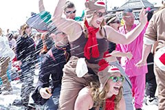 An Alpine "arms race": the desire for fun and games