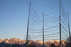 Austrian tunnel vision