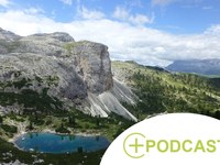 Alpine soils: allies in climate protection