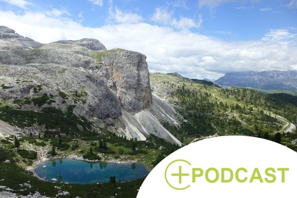 Alpine soils: allies in climate protection