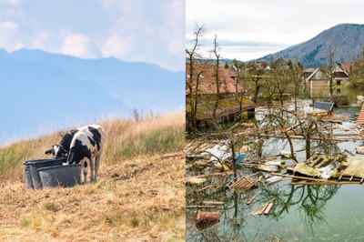 Climate risks: better to prepare than to wait