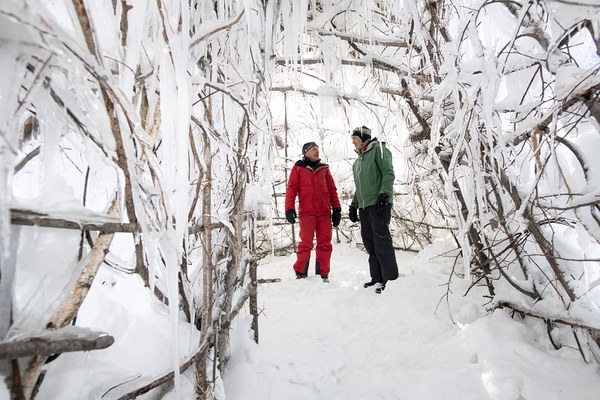 Glacier ice on a stick