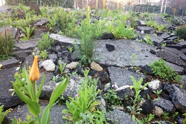 Heatwave aggravated by soil sealing