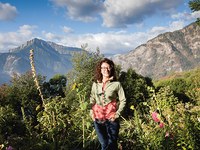 Ideas like apple trees