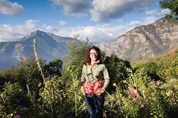 Ideas like apple trees