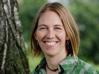 Macro-region Alps: get involved!