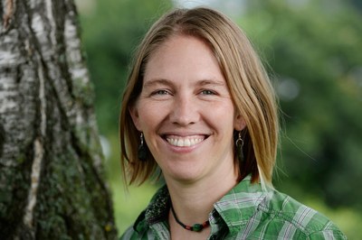 Macro-region Alps: get involved!