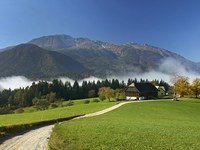 Prospects for young people