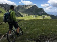 Swiss Chairmanship of the Alpine Convention