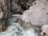 The real treasure of the Alps