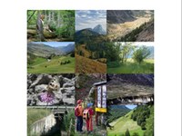 The ecological Network in the Alps