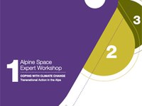 Alpine Space Expert Workshop