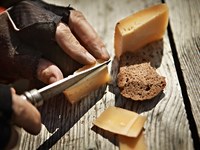 À la recherche de réponses à la raréfaction des ressources