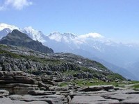 Courrier à Ségolène Royal