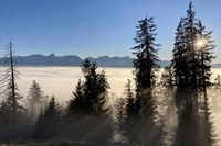 Position sur le paysage