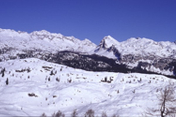Appel des ONG en faveur du parc national de Triglav