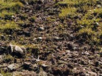 Conférence internationale sur la problématique de l'érosion