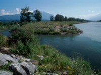 Un appel à la concrétisation du concept de développement pour " L'avenir du Rhin alpin "