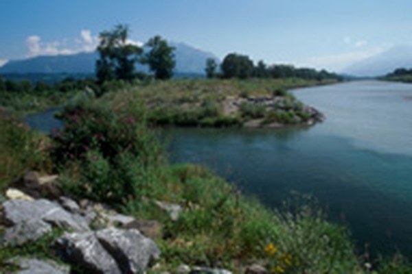 Un appel à la concrétisation du concept de développement pour " L'avenir du Rhin alpin "