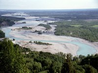 Initiative internationale contre la destruction du fleuve Tagliamento