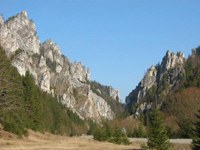 Ateliers du projet de coopération Alpes-Carpates