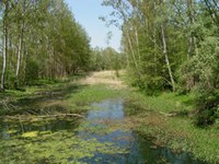 Slovénie : projet de chaîne de centrales hydroélectriques