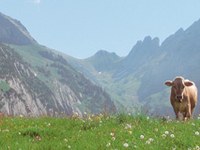 La politique touristique à la  loupe - les fonds publics sont-ils utilisés de manière durable?