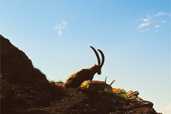 Les grands espaces protégés, pile dans la tendance touristique