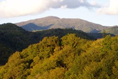 Jeux olympiques d'hiver dans le Caucase