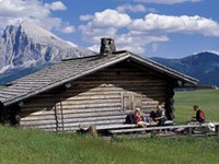 Des joueurs de cor des Alpes en ambassadeurs ? - Promotion commune des Alpes