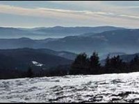 France : application du Grenelle de l'Environnement dans les parcs naturels