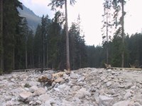 Objectifs climatiques : un appel clair lancé par le monde scientifique