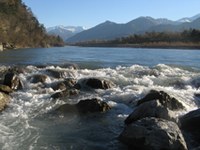 Regain de vie pour le Rhin supérieur