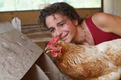 " Bilan de santé " de la politique agricole commune