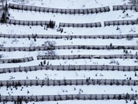 Evaluation économique de mesures de protection contre les dangers naturels