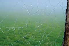 Partenaires en réseau pour un réseau d'habitats