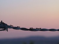 Un nouveau nom pour un bulletin qui a fait ses preuve