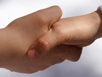 Alpe Adria soutient les énergies alternatives par-delà les frontières